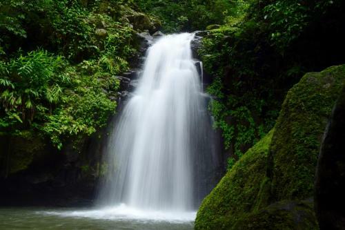 Agroturismo Caba�as Encantadas Benito Ju�rez