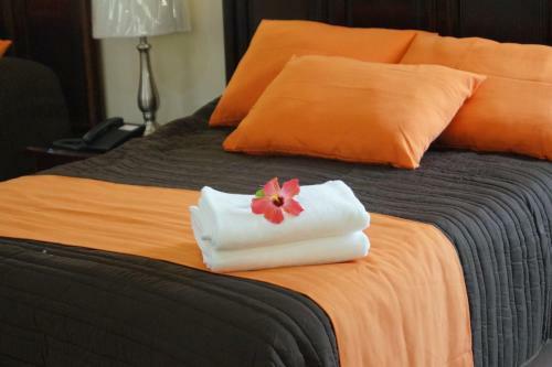 Amazing Celaya Hotel & Suites Business Class