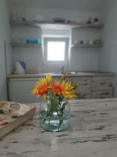 Hostal Apartments Lijesevic
