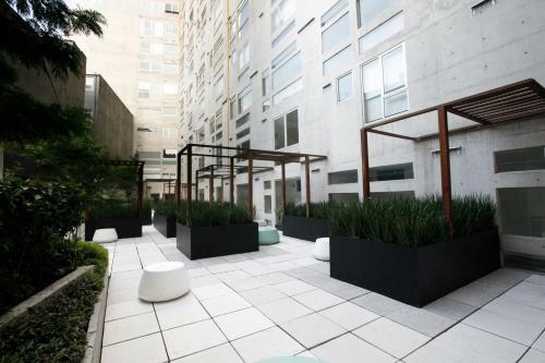 Gym & Pool. Loft Condesa Double Level Apartment