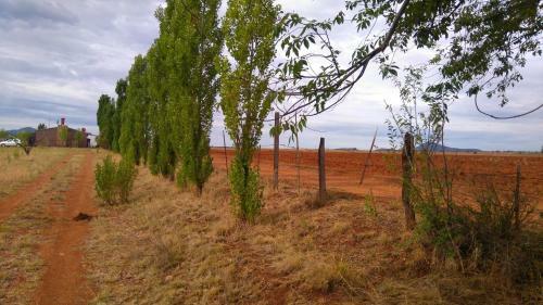 Agroturismo Rancho Payasito