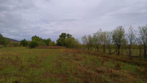 Agroturismo Rancho Payasito