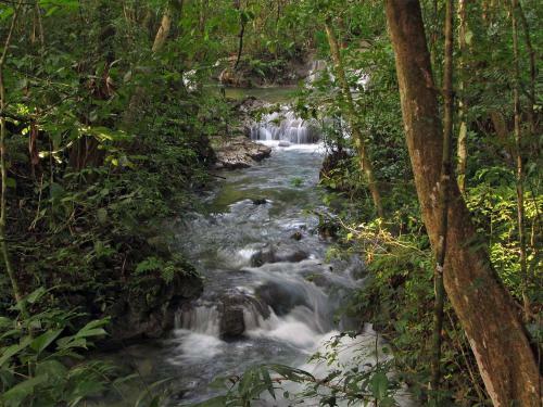 Hotel Campamento Rio Lacanja
