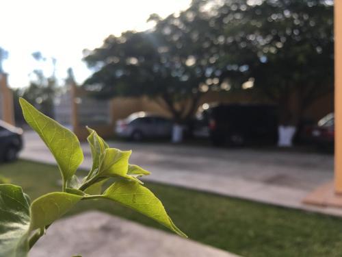 Hotel Tierra Del Sol Oaxaca