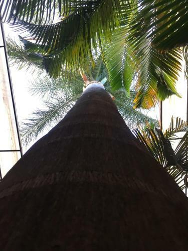 Hotel Tierra Del Sol Oaxaca