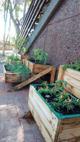 Hostal Windhoek Gardens Guest House