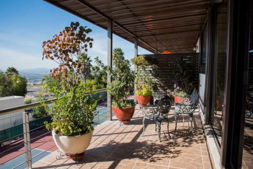 Hotel Vista Real Villas & Spa