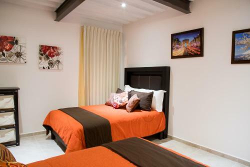 Hotel Vista Real Villas & Spa