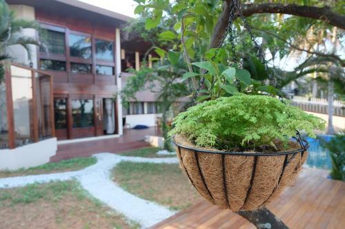 Hotel Chinese Villa Resort