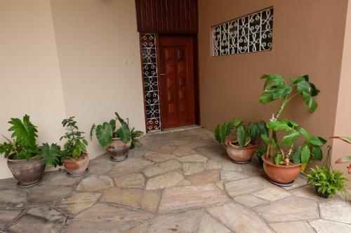Hotel Chinese Villa Resort