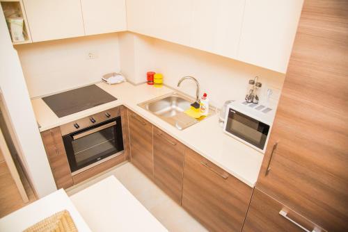 Apartments Athos Delta City