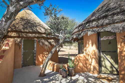 Okonjima Luxury Bush Camp