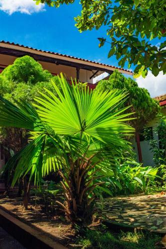 Albergue Hostal Lazybones