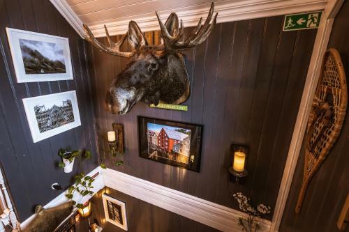 Hostal Bed & Waffles, Troms�