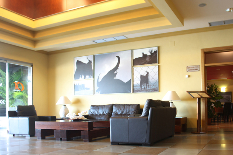 Hotel Montera Plaza