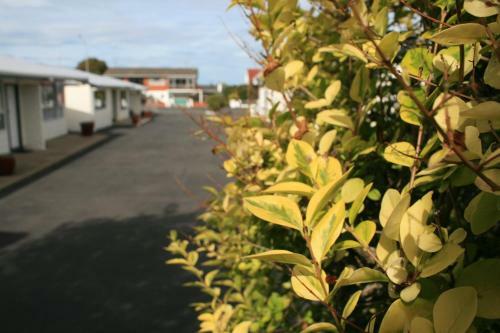 Arcadian Motel