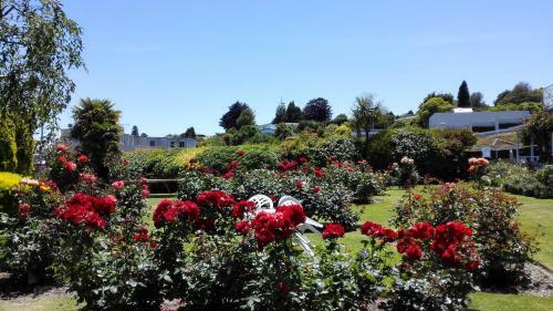 Apartamento Phoenix Resort - Taupo
