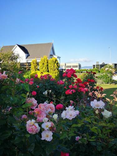 Apartamento Phoenix Resort - Taupo