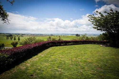 Waitomo Orchard Estate B&B