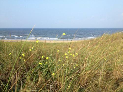 Holiday Home Schoorlse Duinvoet