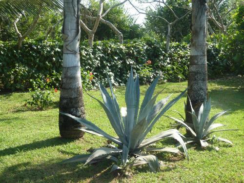Bed & Breakfast La Rosa De Los Vientos