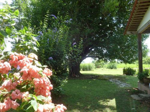 Bed & Breakfast La Rosa De Los Vientos