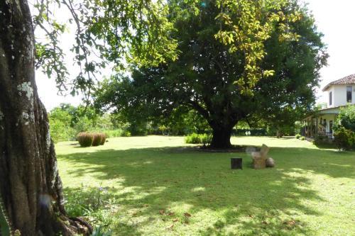 Bed & Breakfast La Rosa De Los Vientos