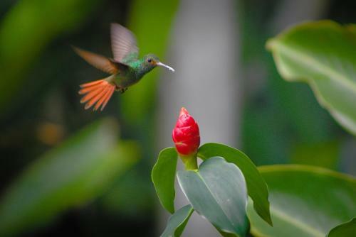 Apartamento Panama's Paradise Saigoncito