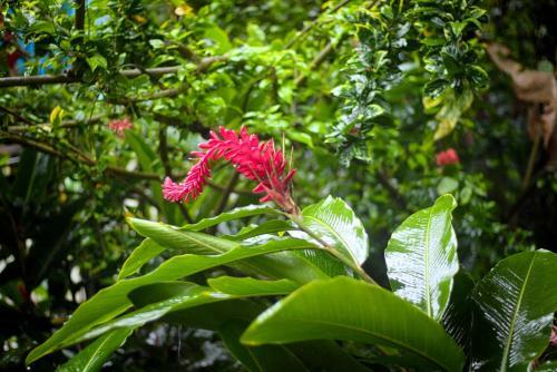 Apartamento Panama's Paradise Saigoncito