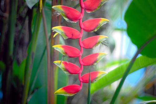 Apartamento Panama's Paradise Saigoncito