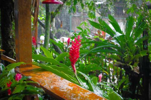 Apartamento Panama's Paradise Saigoncito