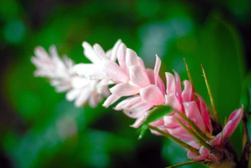 Apartamento Panama's Paradise Saigoncito