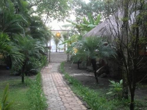 Hotel Oasis Surf Camp