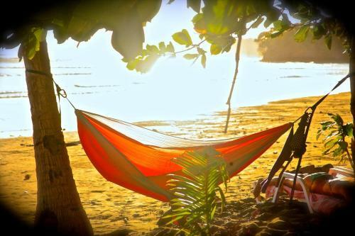 Hotel Oasis Surf Camp