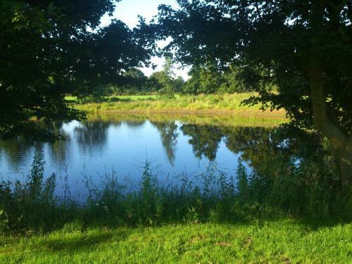 B&B Het Farm-house Natuurpark