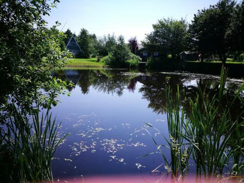 B&B Het Farm-house Natuurpark