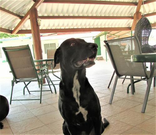 Agroturismo Villa Fortaleza 1