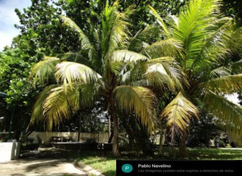 Agroturismo Villa Fortaleza 1