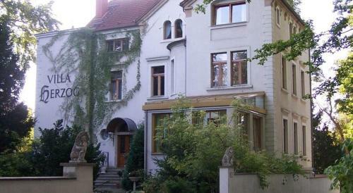 Hotel Villa Herzog