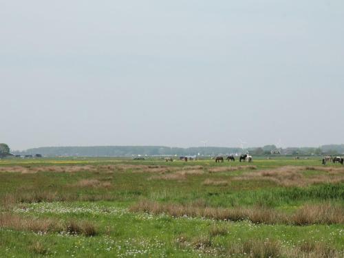 Holiday Home Bebke S Cottage