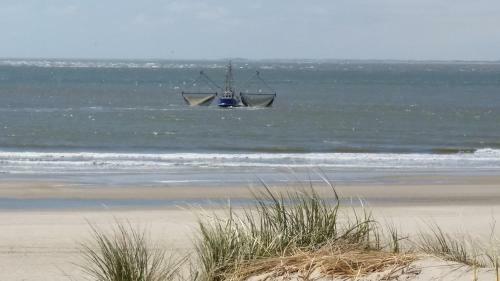 Chalet Duinzicht G68 Ameland