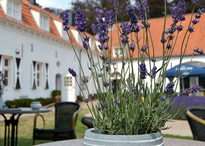 Bed & Breakfast Kasteel Aldenghoor
