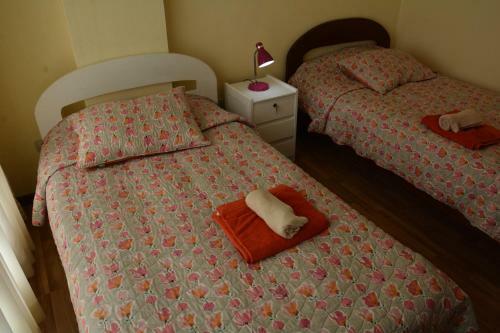 Centric Apartment Fully Furnished