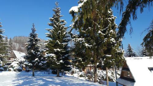 Camping Harenda Pokoje Go?cinne I Domki