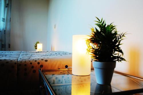 Hostal Aljezur Experiences Surf & Lounge House