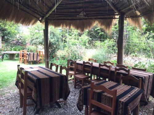 Albergue Hospedaje K'uchuwasi Backpacker