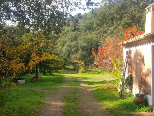 Holiday Home Casa Da Adega