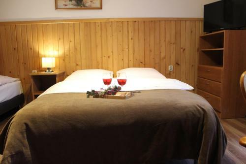 Willa Pod Zielonym Wierchem