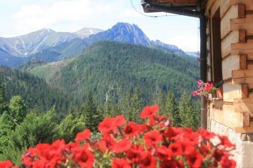 Hostal Holiday Home Krzysztoforow