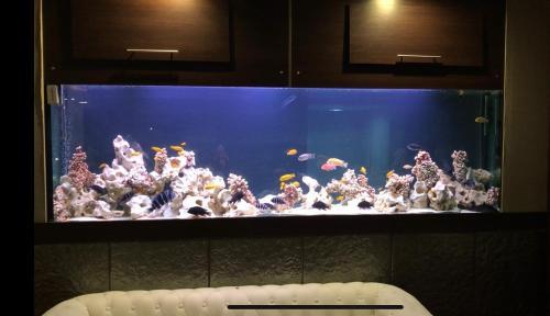 Apartamento Amber Bay&aquapark